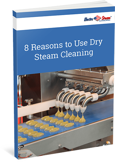 8 Reasons to Use Dry Steam Cleaning