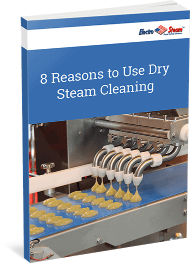 8 Reasons to Use Dry Steam Cleaning 8 Reasons to Use Dry Steam Cleaning