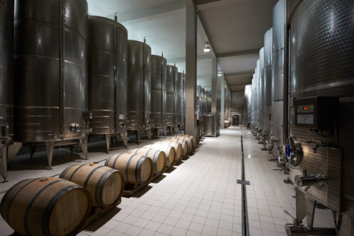 Wooden barrels and large aluminum barrels wine factory