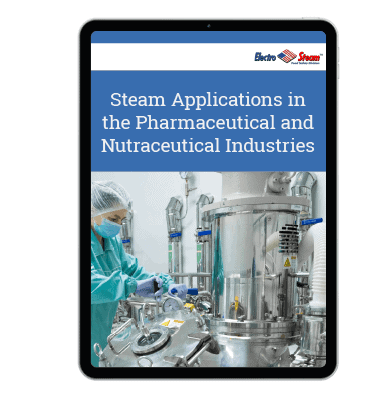 Steam-Applications-in-the-Pharmaceutical-and-Nutraceutical-Industries-Electro-Steam