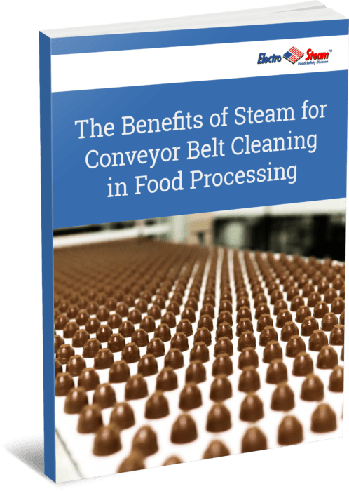 Cover of eBook The Benefits of Steam for Conveyor Belt Cleaning in Food Processing