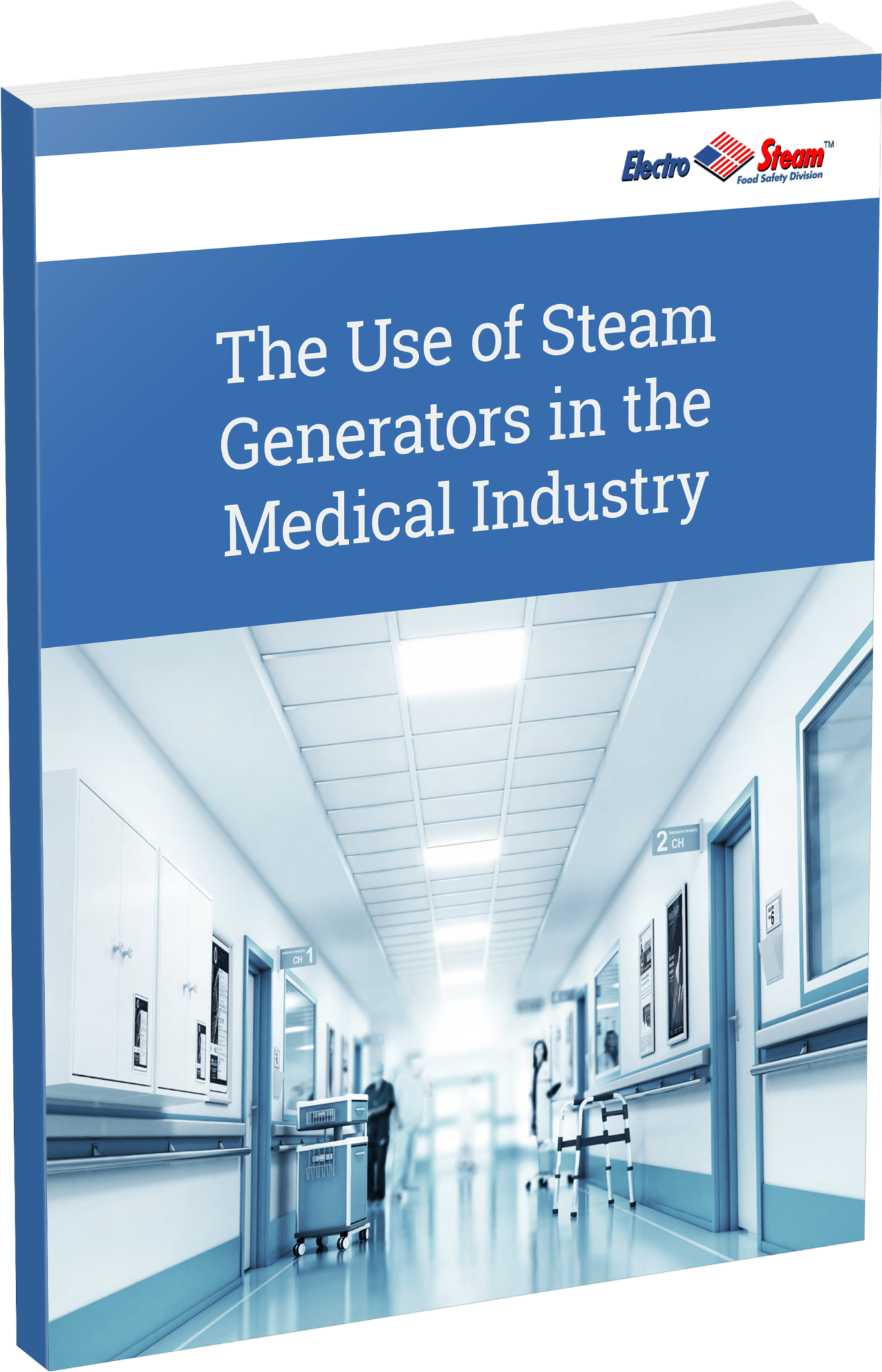 Medical Steam ElectroSteam Generators