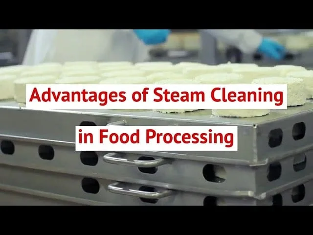Advantages of Steam Cleaning in Food Processing Advantages of Steam Cleaning in Food Processing