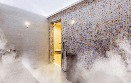 Plant Steam or Utility Steam Plant Steam or Utility Steam