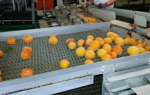 Understanding Dry Steam