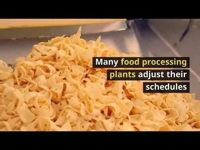 How to Mitigate Allergen Buildup in Food Processing Equipment How to Mitigate Allergen Buildup in Food Processing Equipment